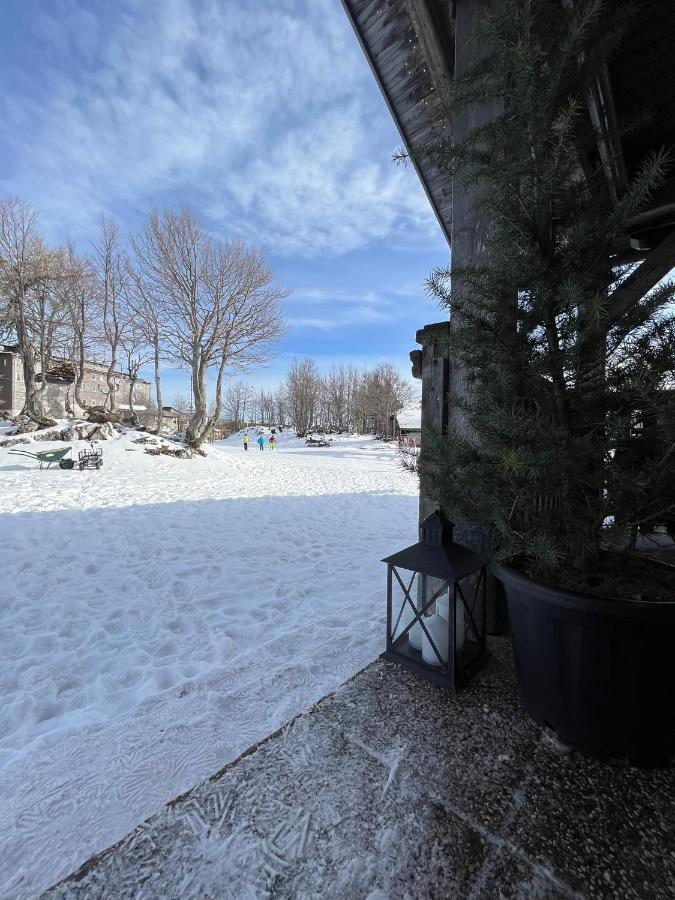 Chalet Burja At Vogel Mountain - Cable Car Access Or Hiking - Not Reachable With Car Bohinj Exteriör bild