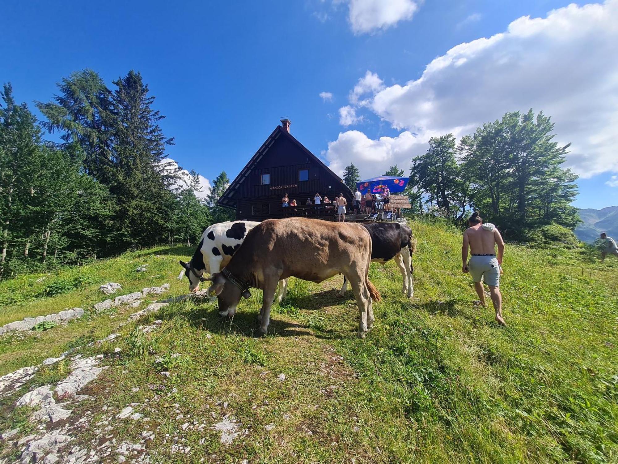 Chalet Burja At Vogel Mountain - Cable Car Access Or Hiking - Not Reachable With Car Bohinj Exteriör bild